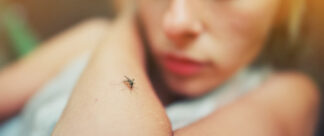 O que é dengue: conheça os sintomas e como diagnosticar