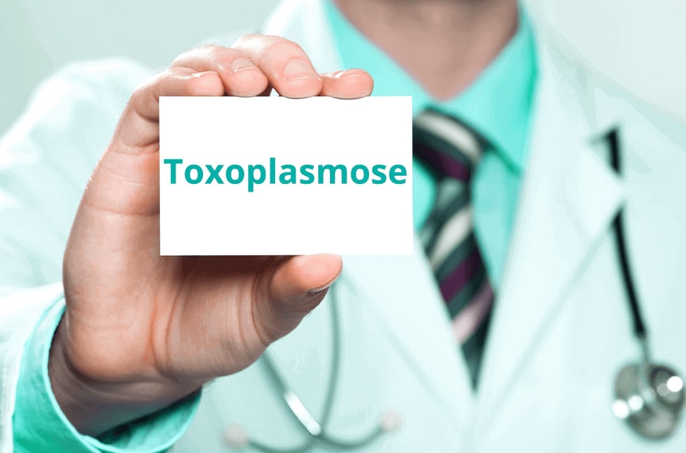 Imagem mostra um médico ao fundo com uma das mãos para frente segurando um cartão branco escrito toxoplasmose