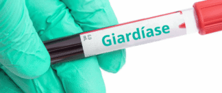 O que é giardíase: quais são os sintomas e como evitar