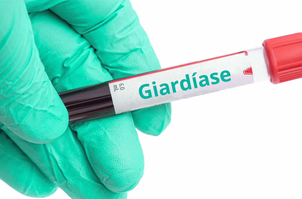 Luva segurando uma ampola de sangue. Há um rótulo onde está escrito a palavra giardíase