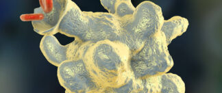 Amebíase: o que você não pode deixar de saber